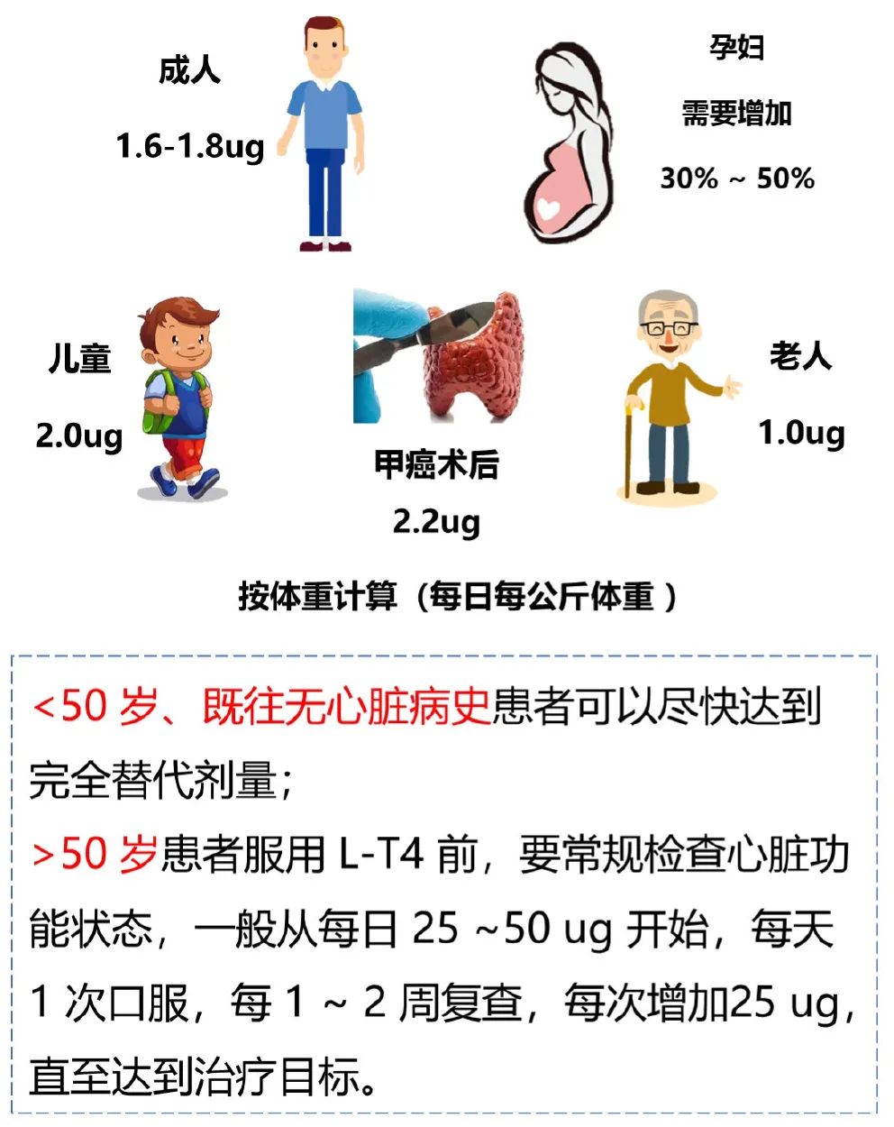 甲减补硒吃什么药