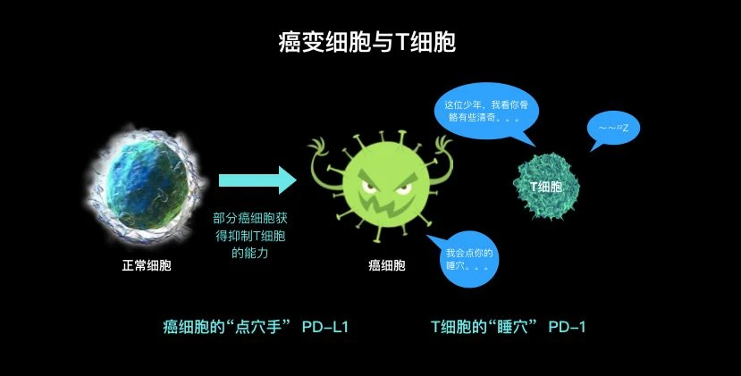 什么样体质需补硒