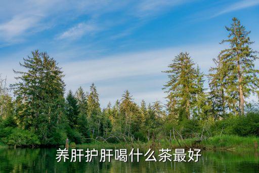 养肝护肝喝什么茶最好