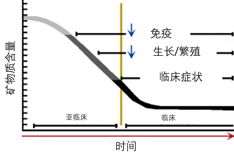 牛多久了补硒一次