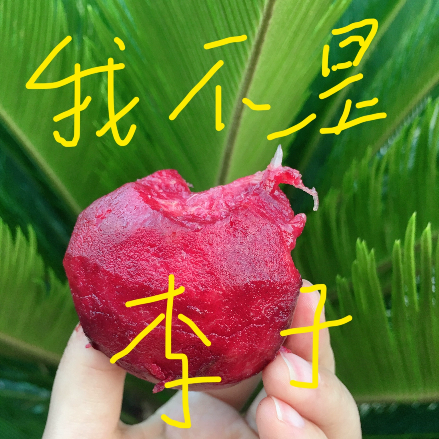 富硒产品市场命题