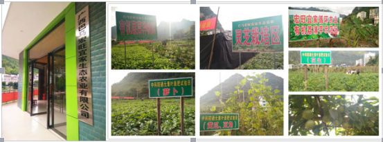 生态长寿富硒产品