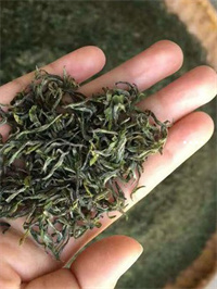 陕西富硒茶有哪几款