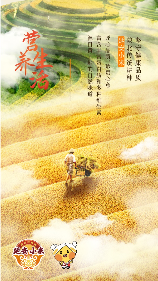 富硒产品讲座视频