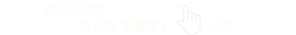 国际富硒产品需求