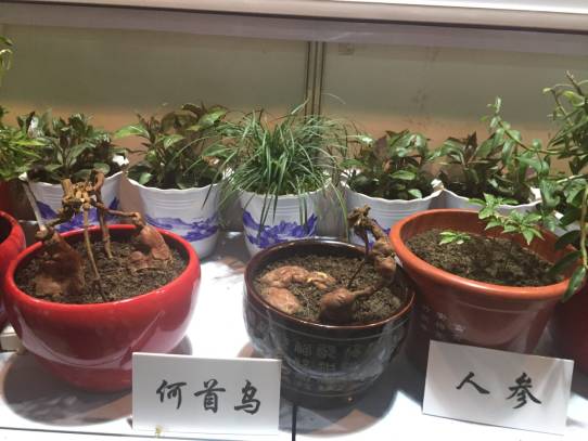 国际富硒产品需求