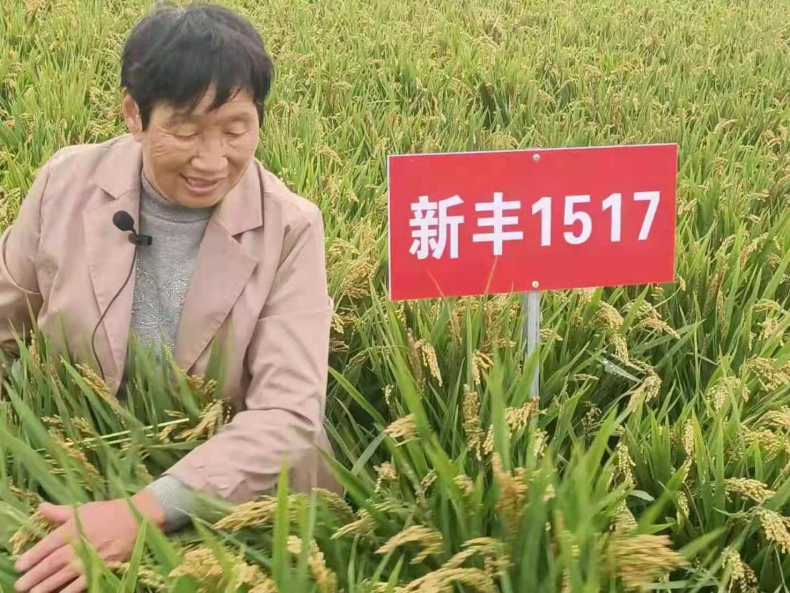 武汉富硒产品集资