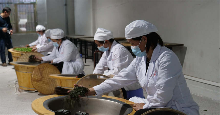 富硒绿茶产品介绍