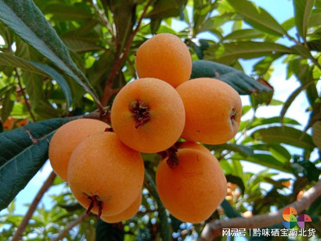 开阳什么产品富硒
