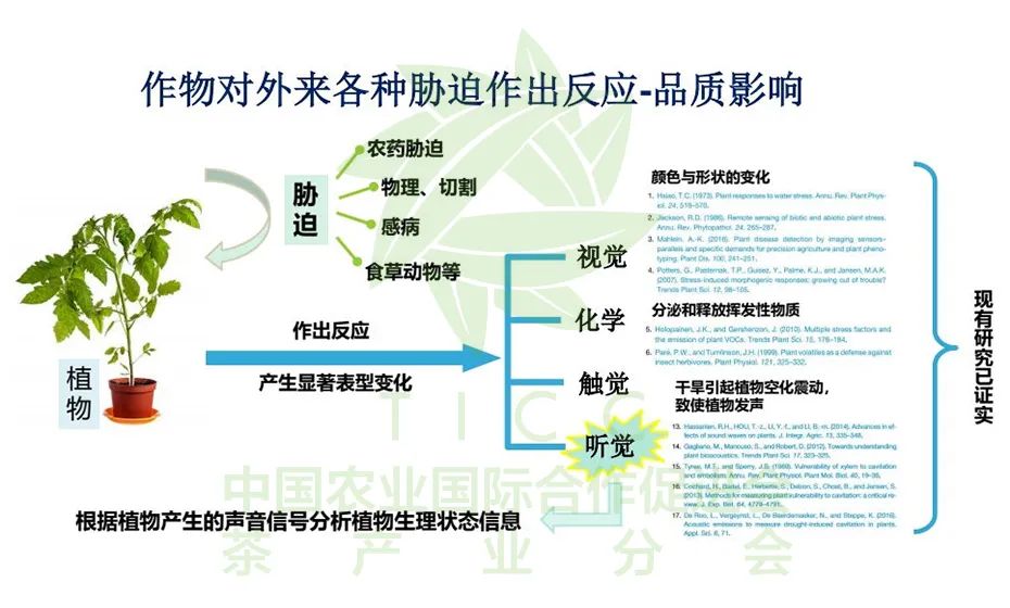 富硒弄产品的教授