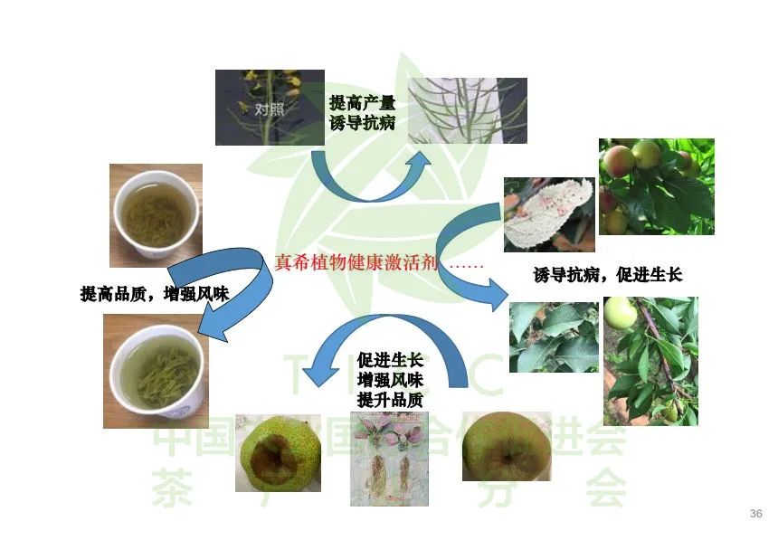富硒弄产品的教授