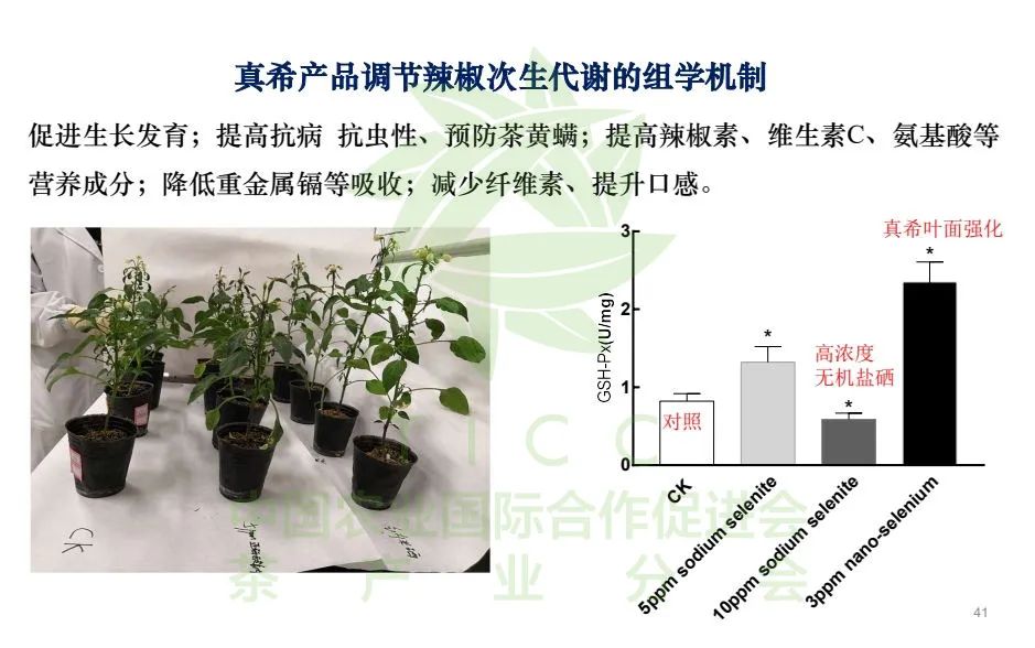 富硒弄产品的教授