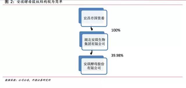 安琪富硒酵母产品