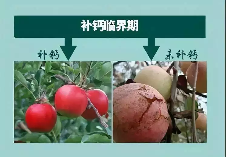 最大的富硒农产品