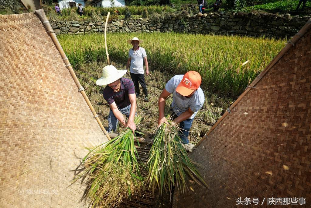安康富硒农产品节