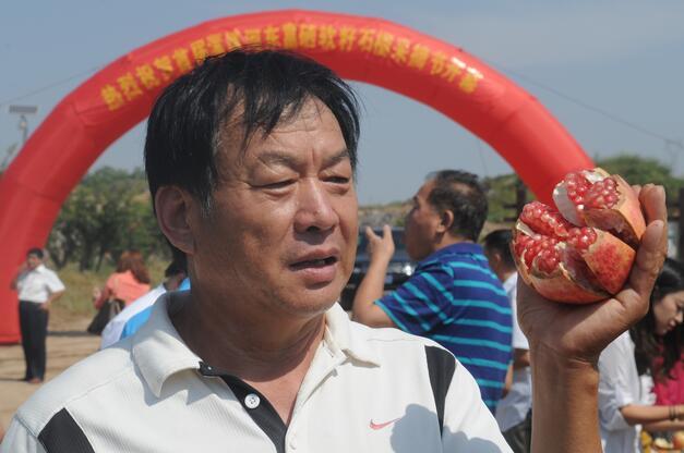 山东农产品富硒网