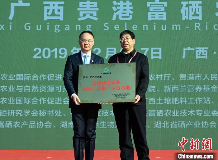 广西富硒产品出口