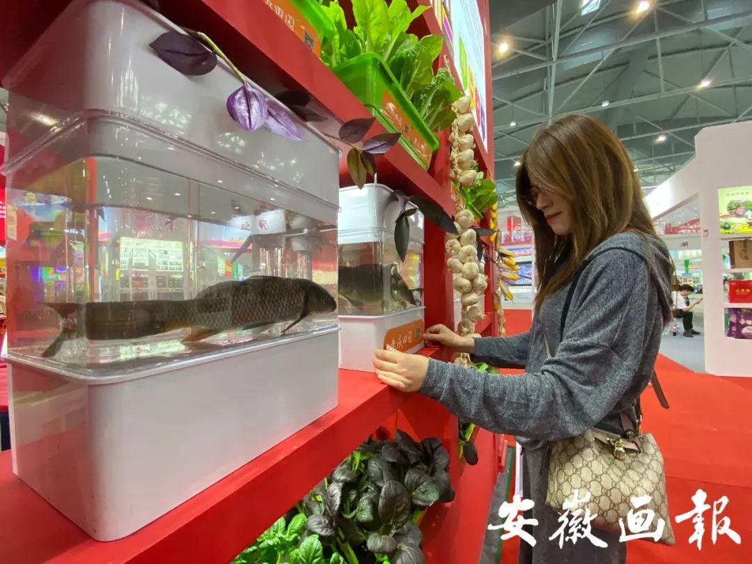 池州富硒农副产品
