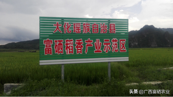 富硒水产品怎么样