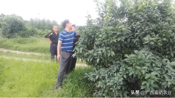 富硒水产品怎么样