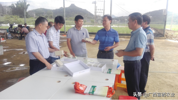 富硒水产品怎么样