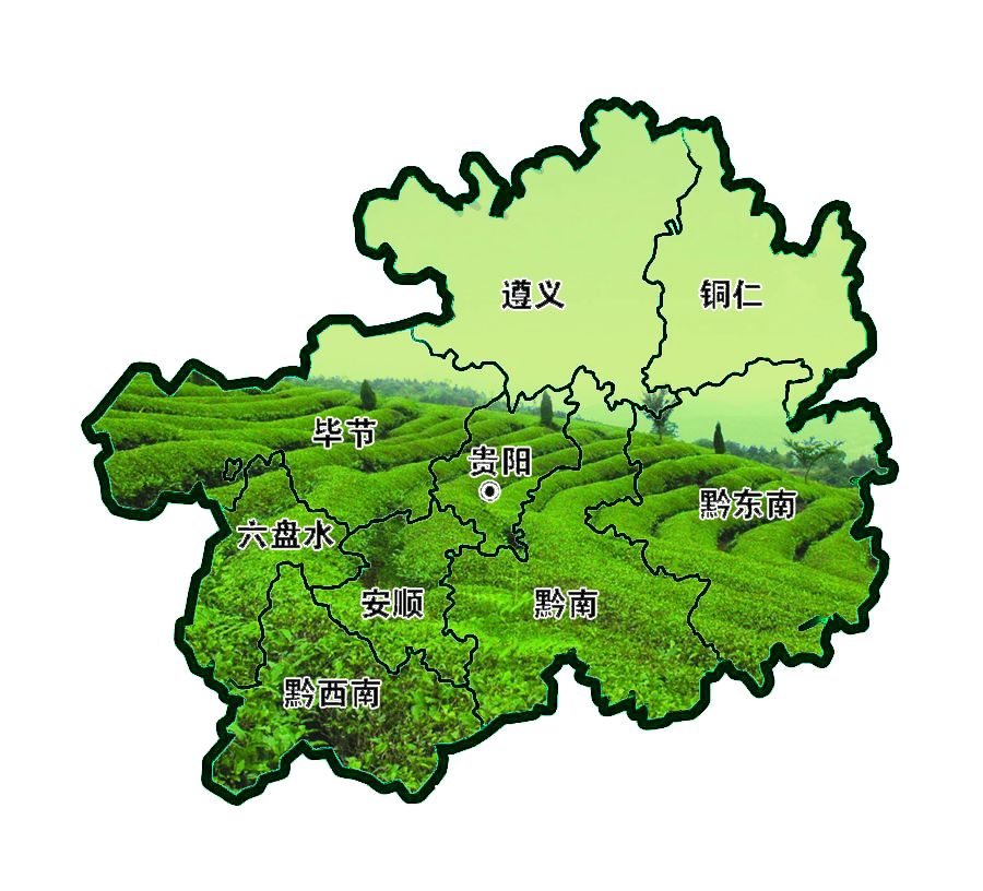 雷公山富硒清明茶
