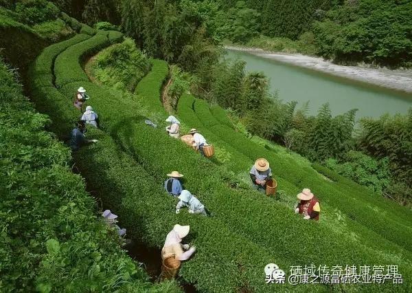 恩施州富硒农产品