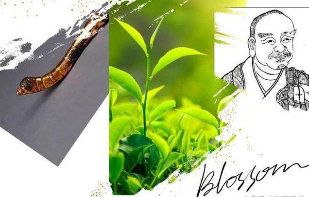 泉州富硒茶好喝吗
