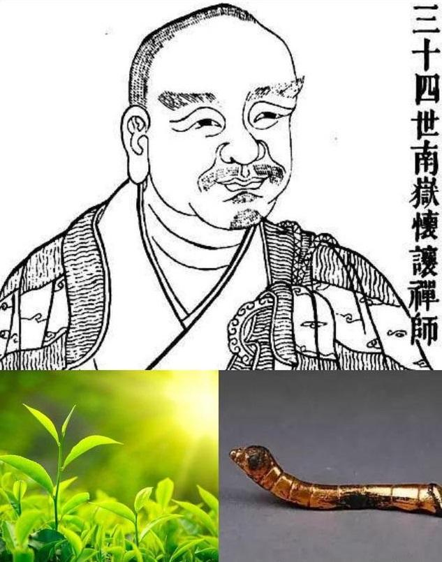 泉州富硒茶好喝吗