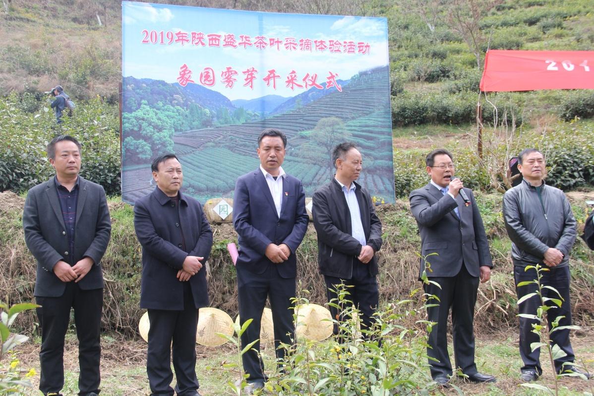 泉州富硒茶好喝吗