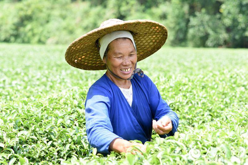 泉州富硒茶好喝吗