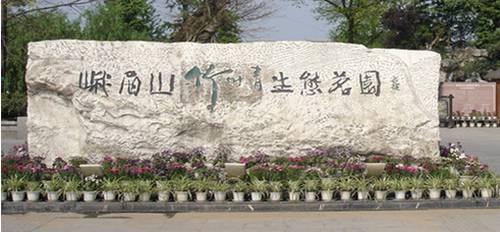 富硒雀舌是什么茶