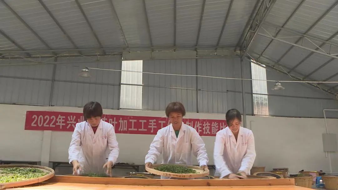 富硒茶标准化生产