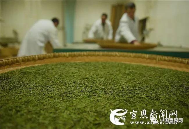 富硒贡茶是哪里的