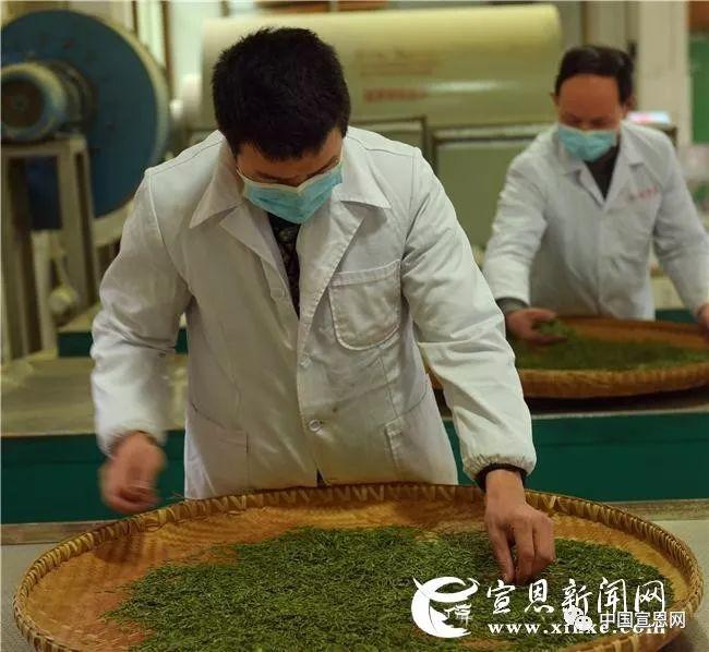 富硒贡茶是哪里的