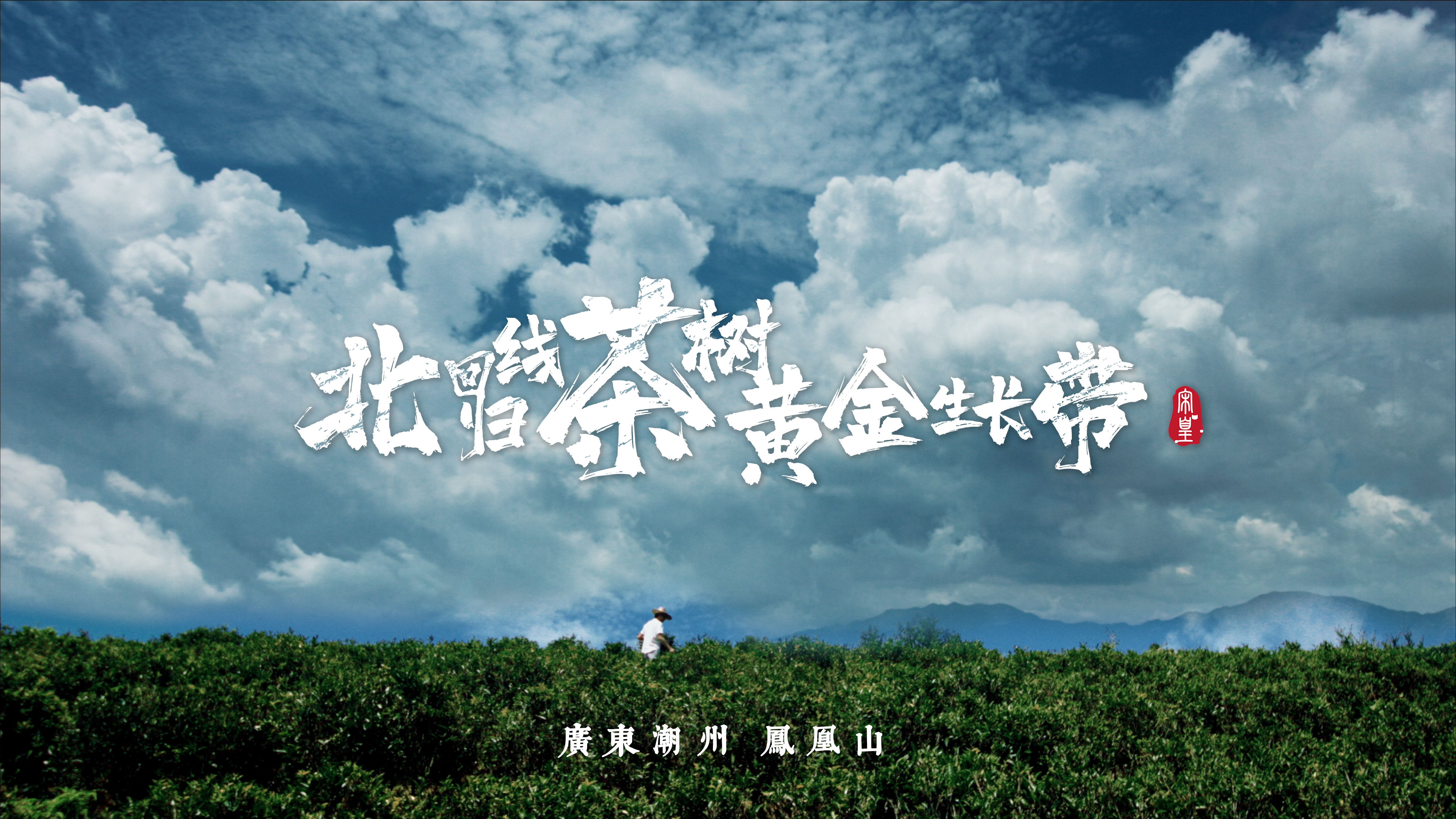 保靖黄金茶富硒茶