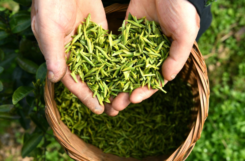 恩施富硒茶有硒吗