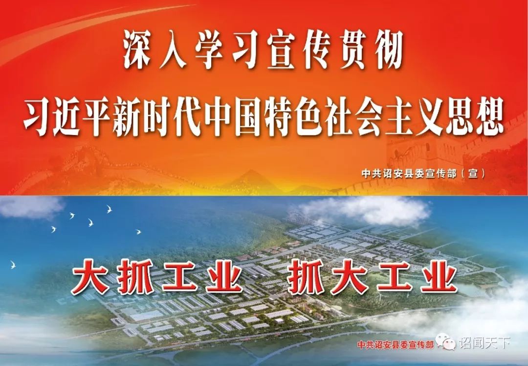 有机富硒茶 诏安