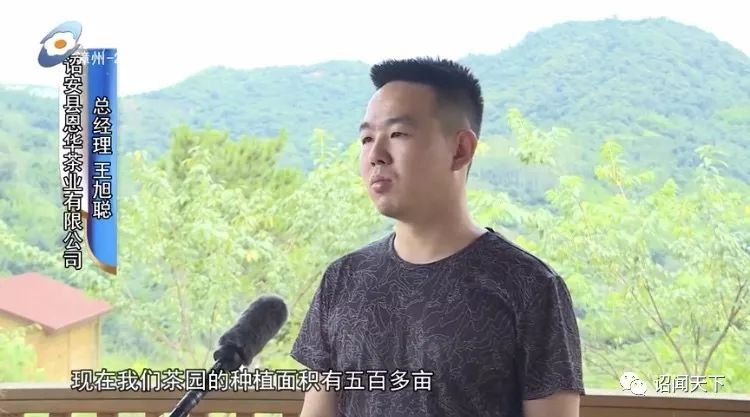 有机富硒茶 诏安