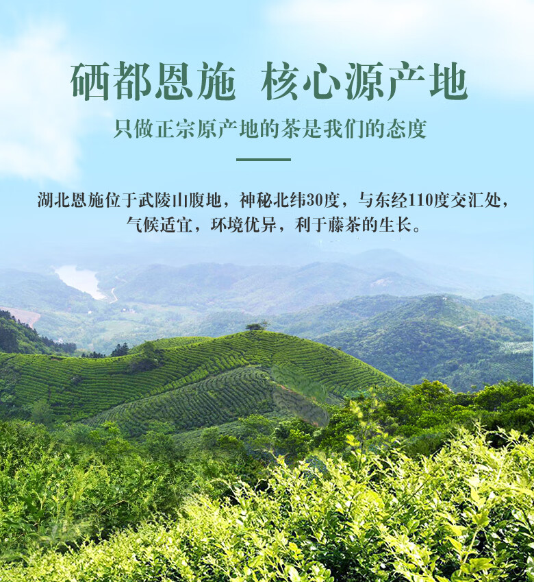 香港恩施富硒贡茶