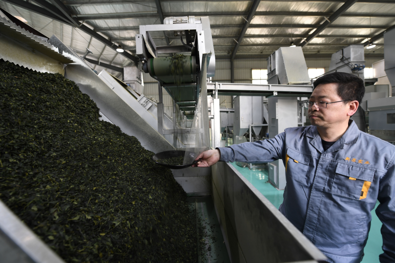 湖北恩施富硒抹茶