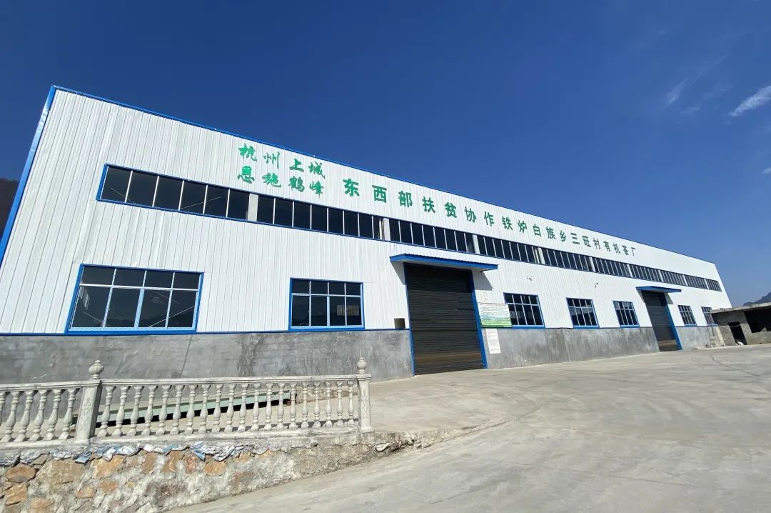 湖北恩施富硒抹茶