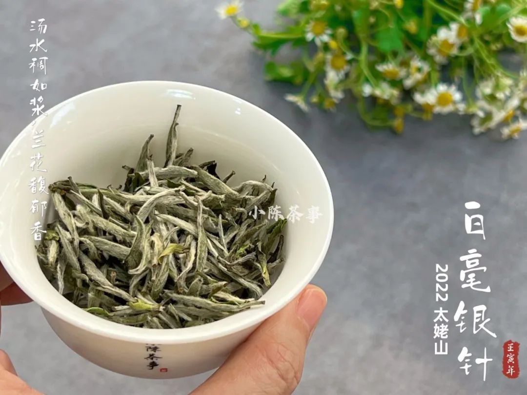 云南富硒白茶散茶