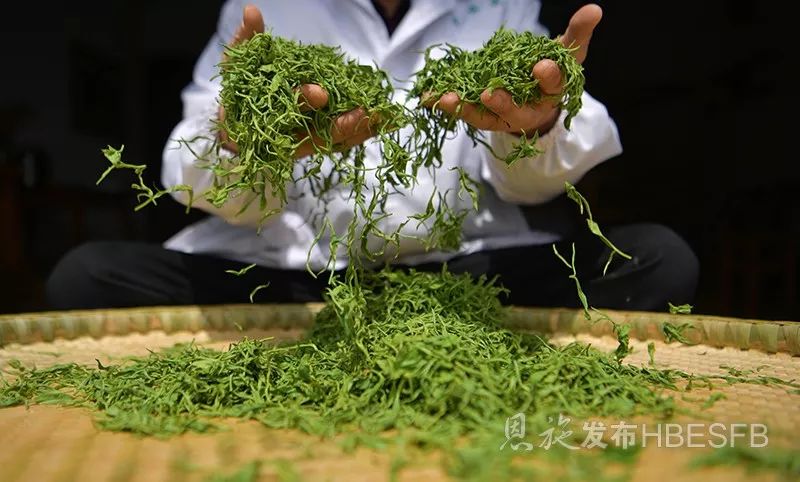 湖北特产富硒贡茶