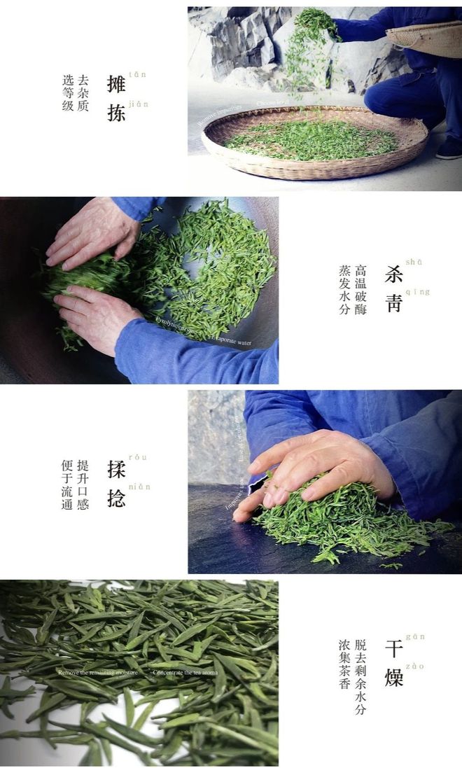 怎么泡紫阳富硒茶
