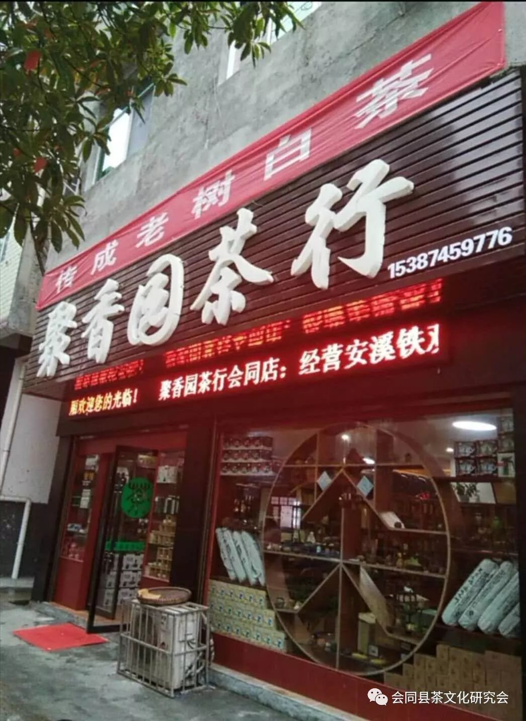 福建富硒茶哪里买