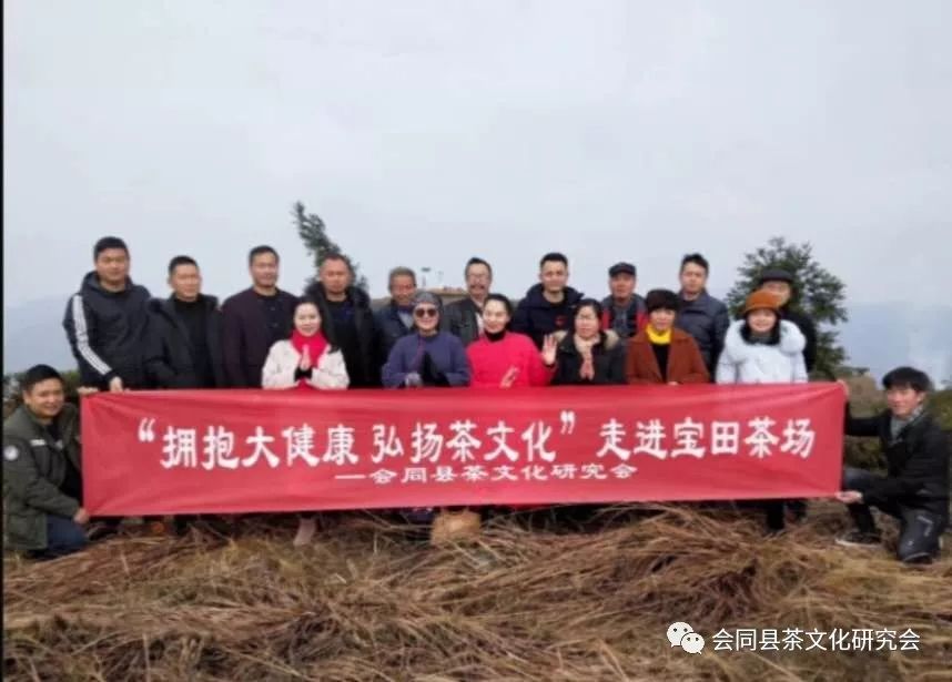 福建富硒茶哪里买