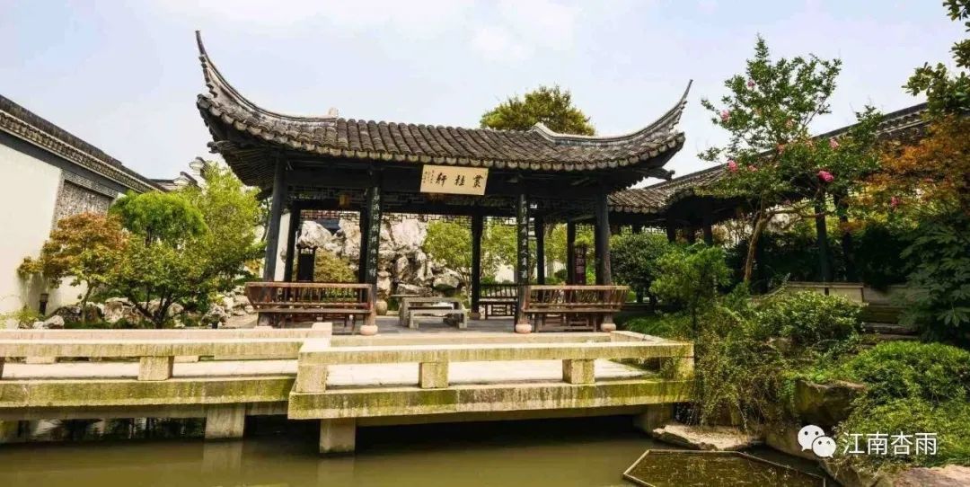 福建富硒茶哪里买