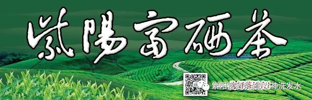 富硒清明茶的价格