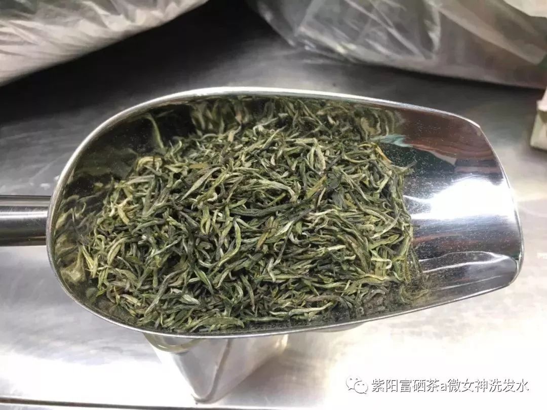 富硒清明茶的价格